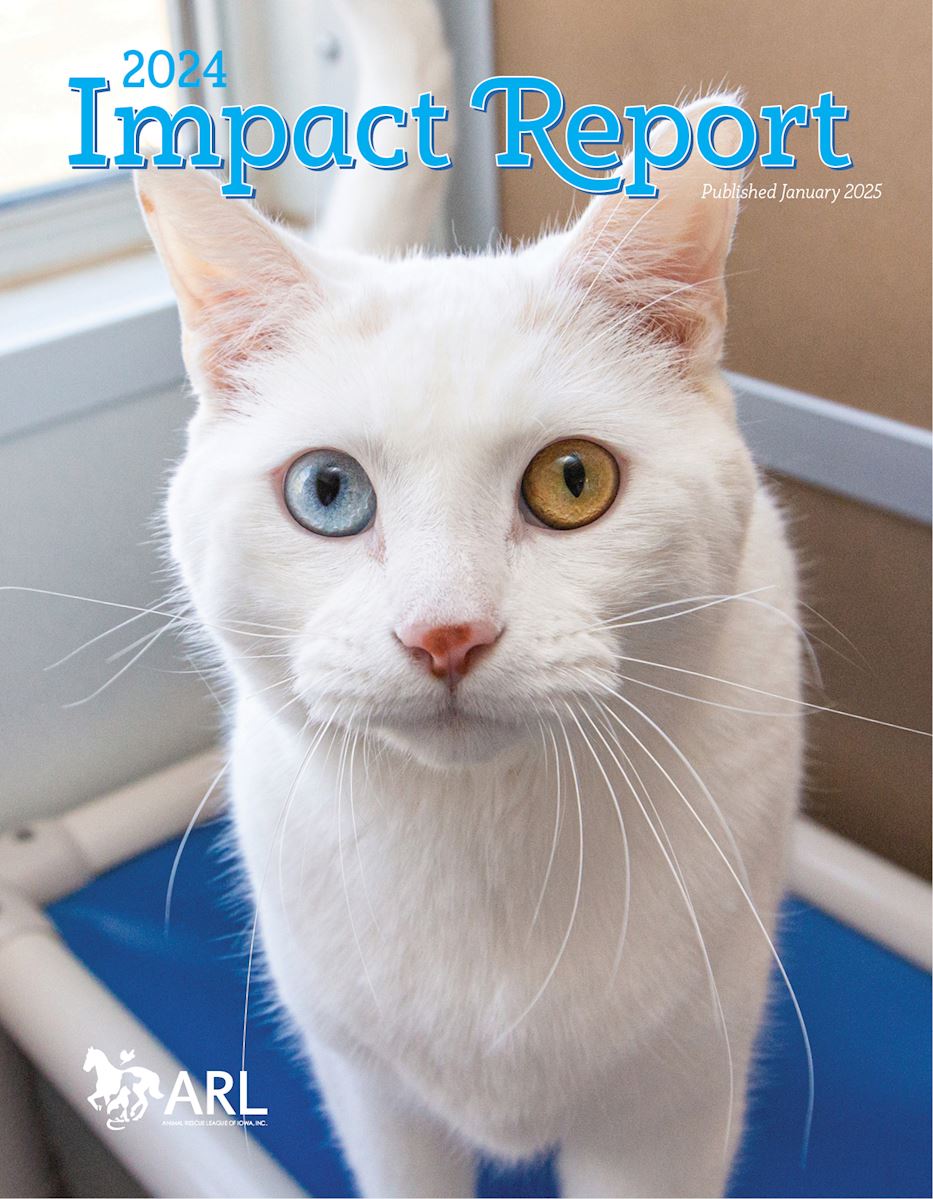 ARL 2024 Impact Report