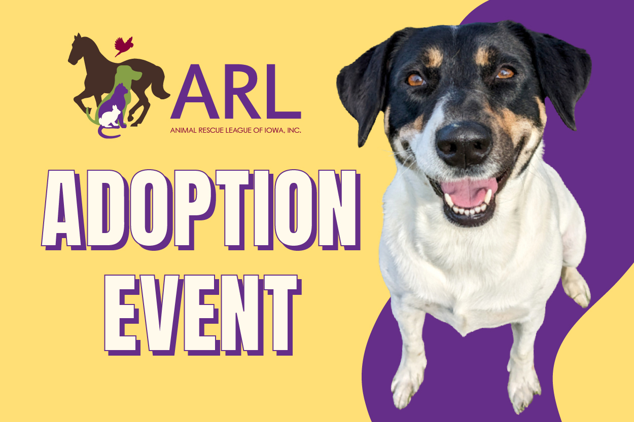 Happy Life Animal Rescue, Animal Rescue & Adoption