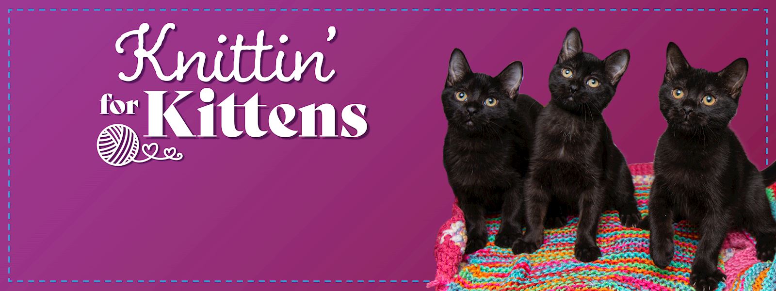 Knittin For Kittens