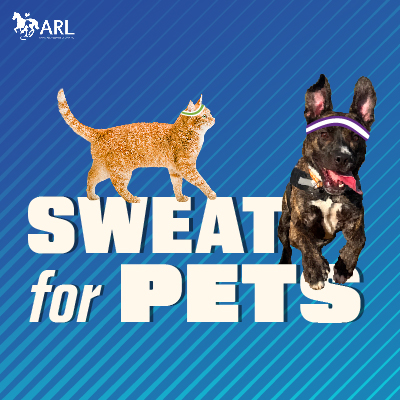 Sweat for Pets