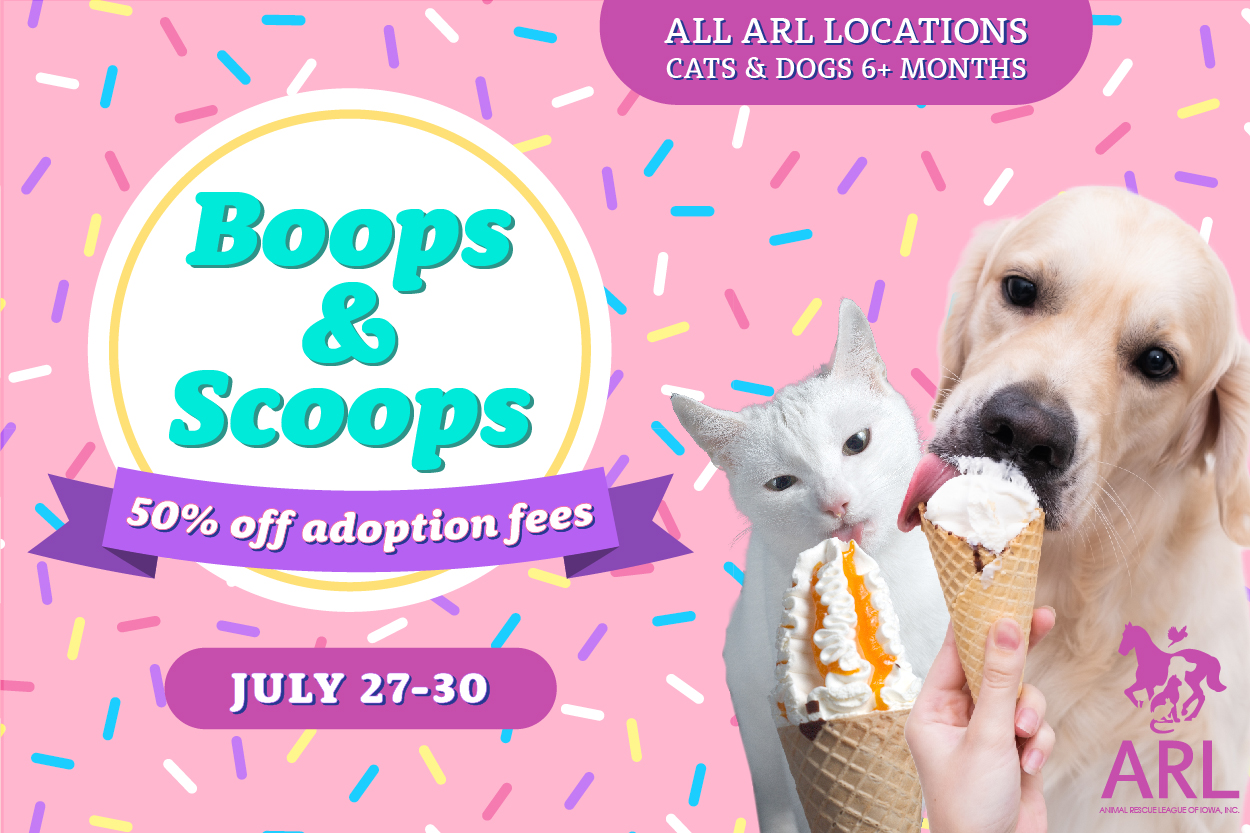 boops & scoops