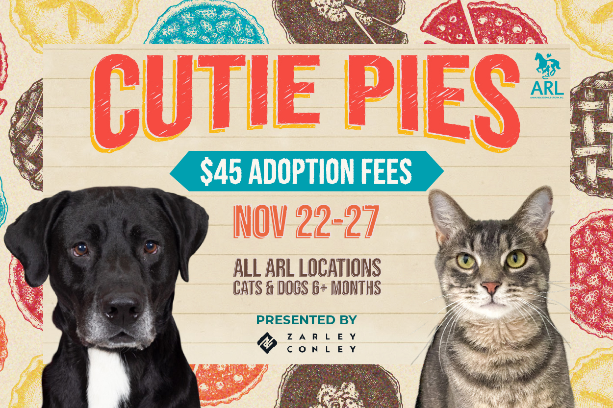 CutiePiesAdoptionEvent