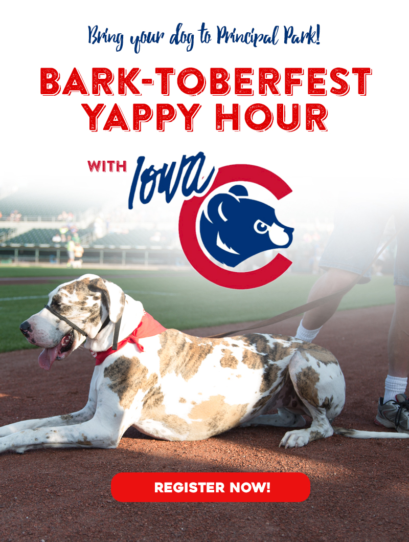 Bark in the Park - Dog Friendly Major League Baseball Games 2022