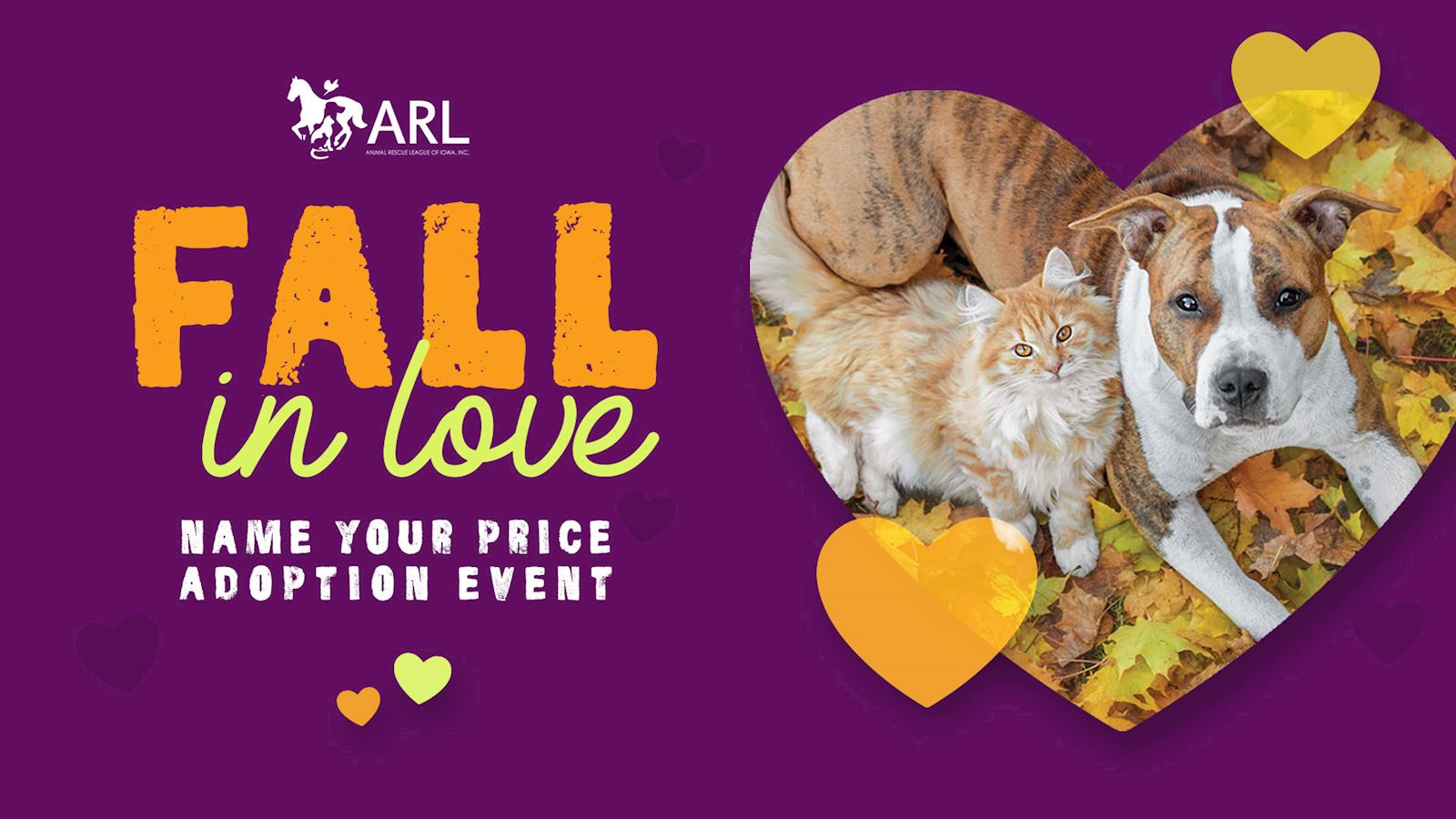 Fall in Love With a Shelter Cat Adoption Event