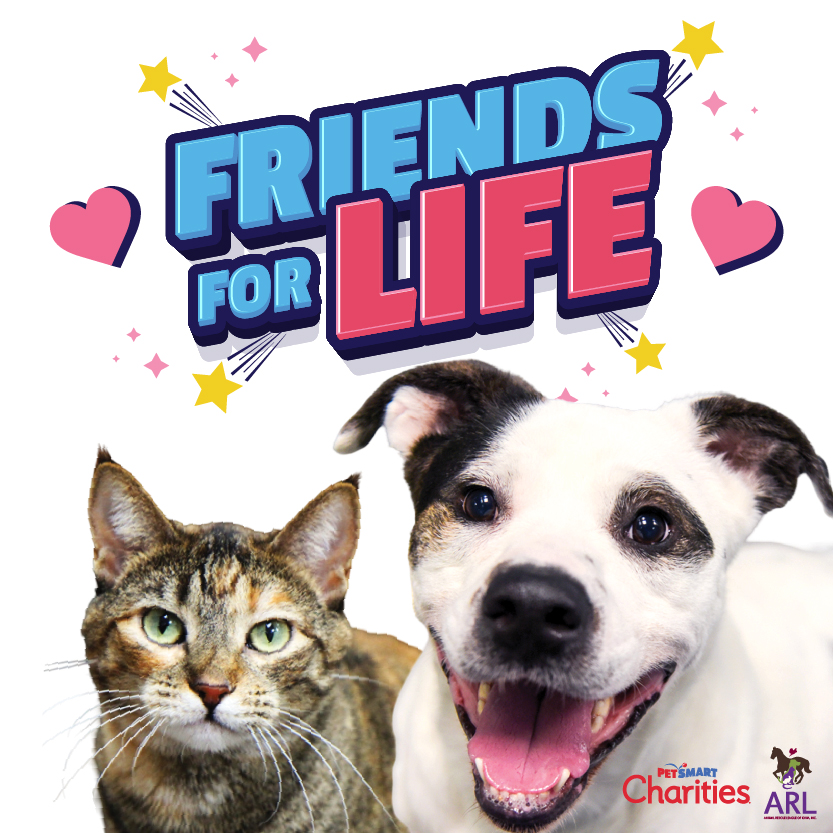 Friends for Life Adoption Event