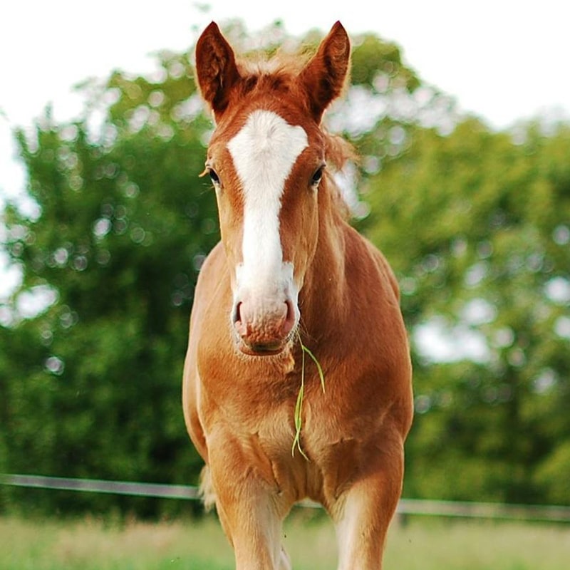 pexels-photo-460991-min