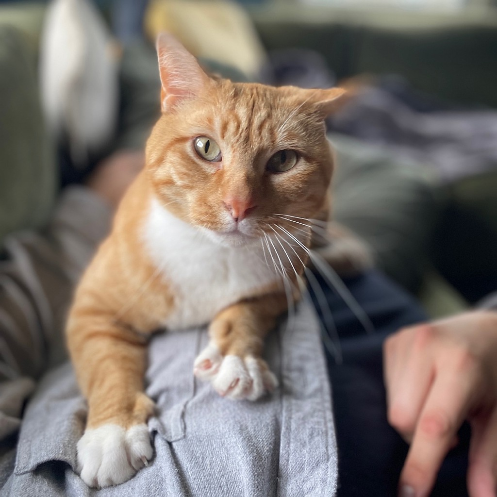 Boris -- Bonded Buddy With Buddy