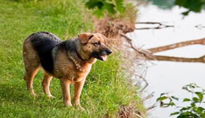 End-of-Life-Services