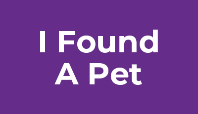I-Found-a-Pet