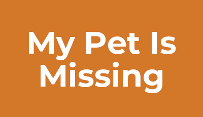 My-Pet-Is-Missing