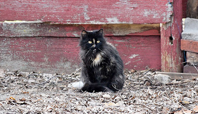 Neighborhood-Culture-Photo