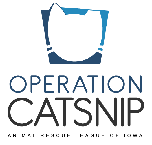 OperationCatSnip_colorweb2-01