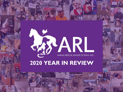 In a year that has brought so many challenges, your unwavering support meant more to the animals than ever. Watch this video to see many of the incredible transformations from this past year —  all made possible because of you.