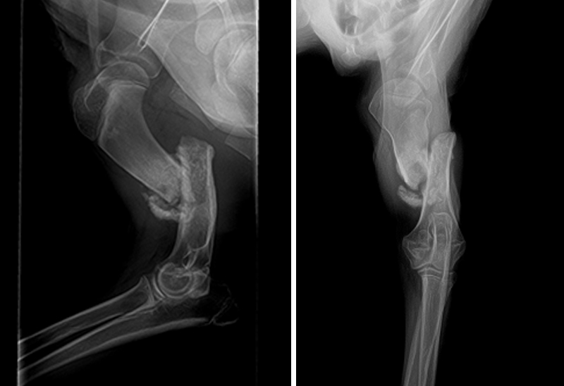 0118_danny_eappeal_Content