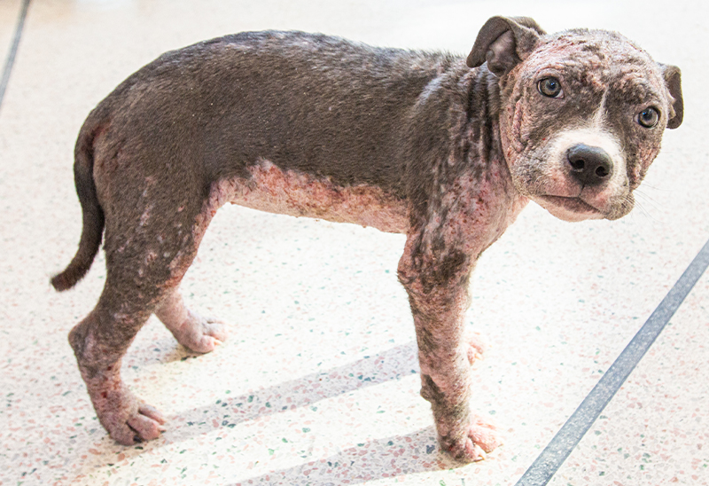 0130_Luna_Content_02