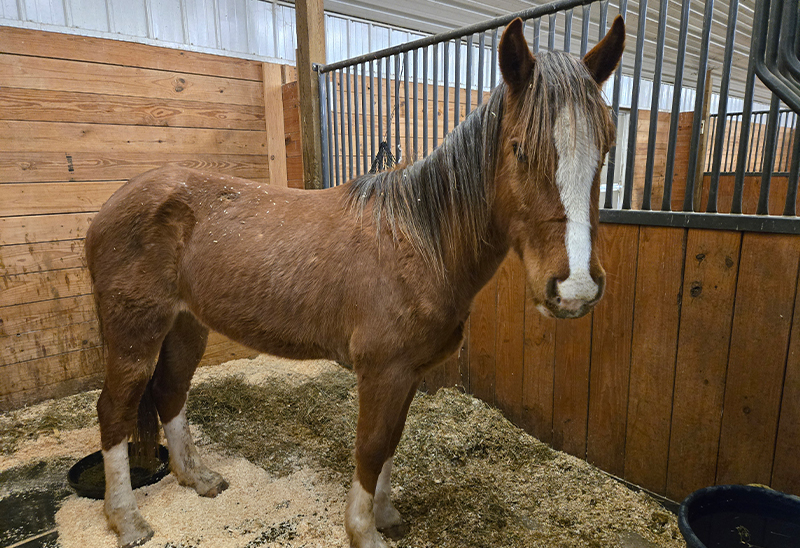 0227_apollo_eappeal_Content01