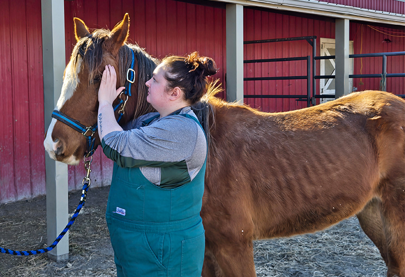 0227_apollo_eappeal_Content02