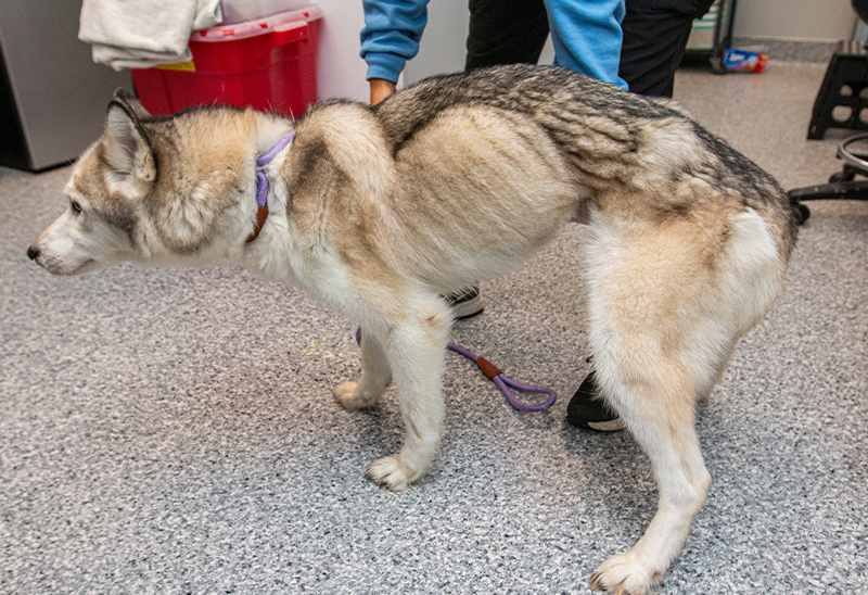 0309_Layla_Content_02