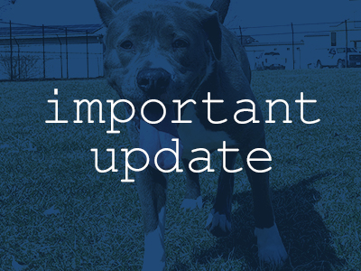 As we continue to monitor the Covid-19 coronavirus situation, we are also implementing additional safety measures as needed and will update this page as necessary.