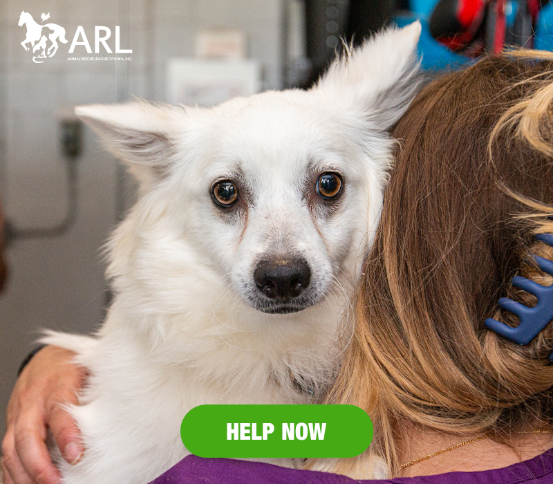 For the first time in their lives, 34 dogs woke up this morning in new beds, never again to spend another day inside a dog breeding operation.