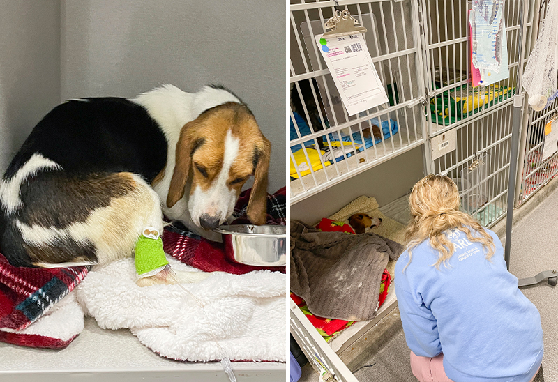 0523_moe_eappeal_Content_02