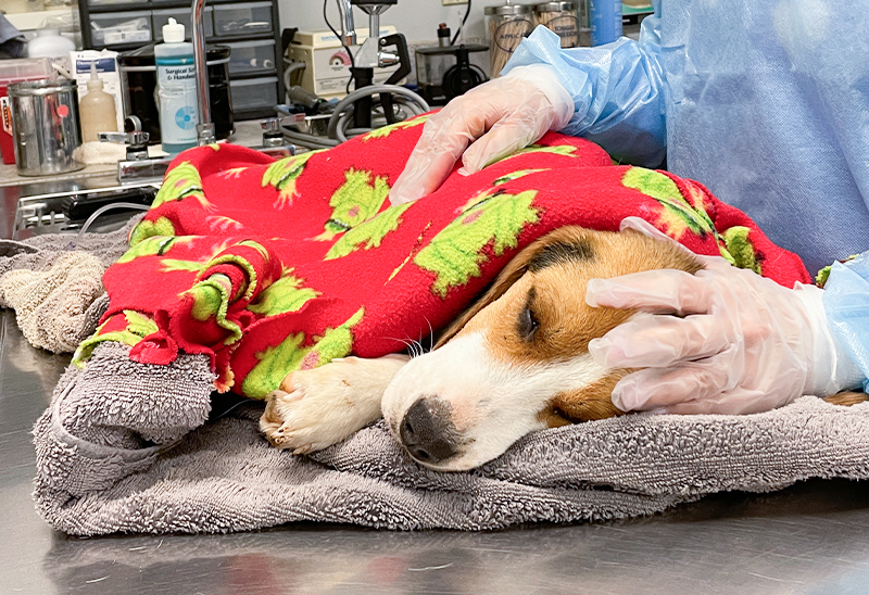 0523_moe_eappeal_Content_02