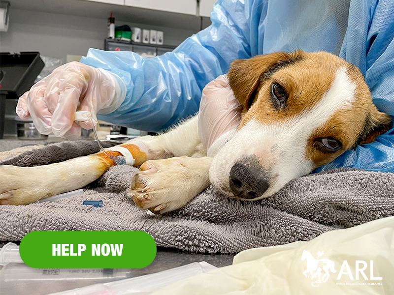 0523_moe_eappeal_Header