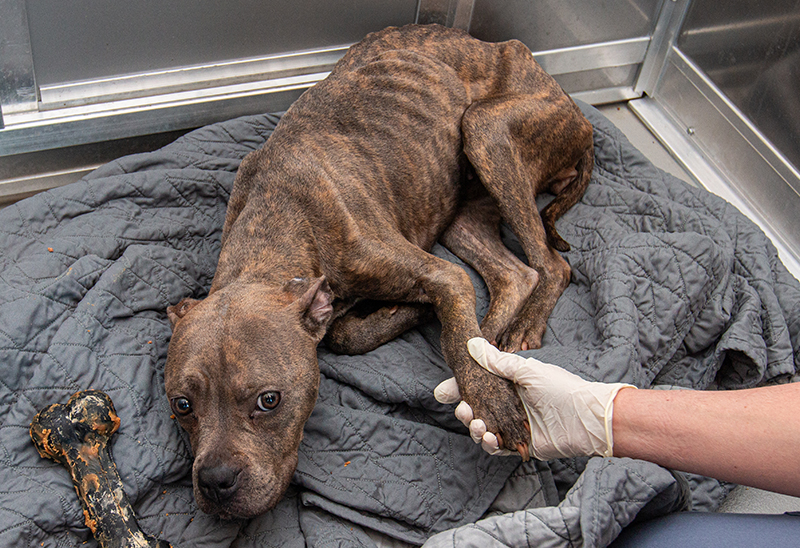 0523_moe_eappeal_Content_02