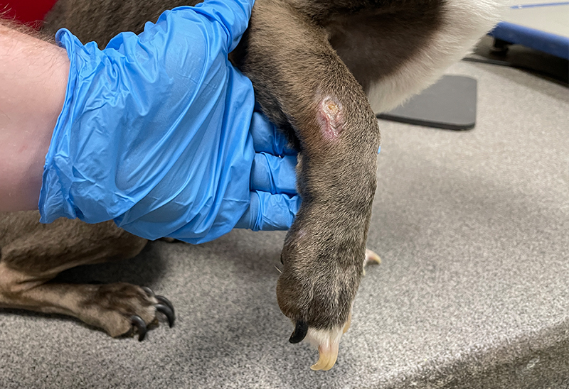 0604_ryder_eappeal_Content02