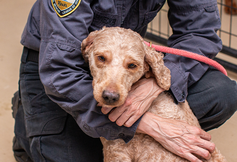 0712_boonedoodles_eappeal_Content2