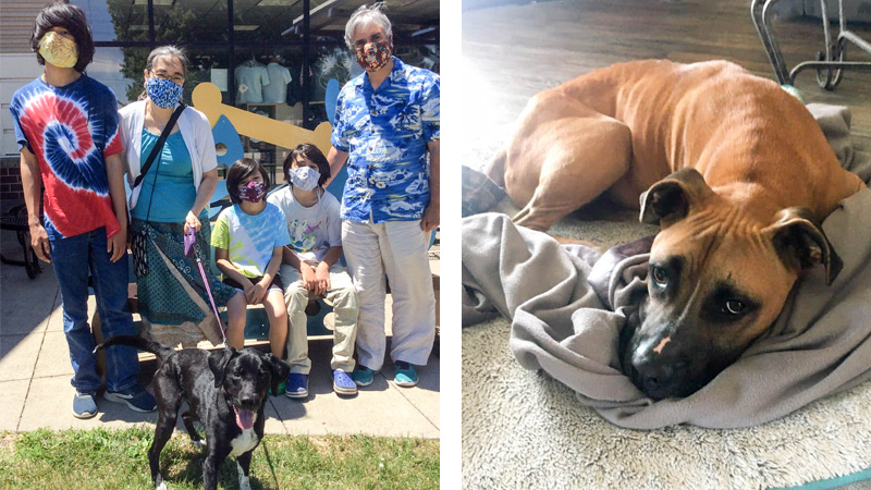 Duke and Mariah arrived at the ARL in the nick of time, rescued from their Des Moines home.