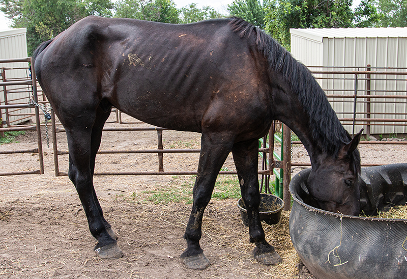 0725_bruce_eappeal_Content01