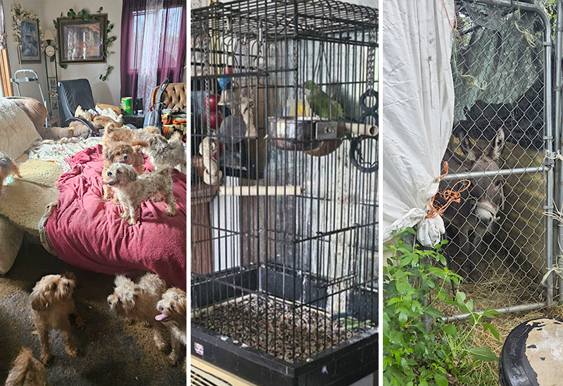 0822_wayneco_eappeal_Content03