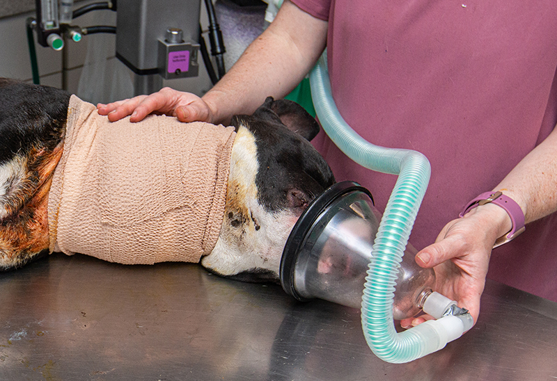 0907_King eappeal_Content_02