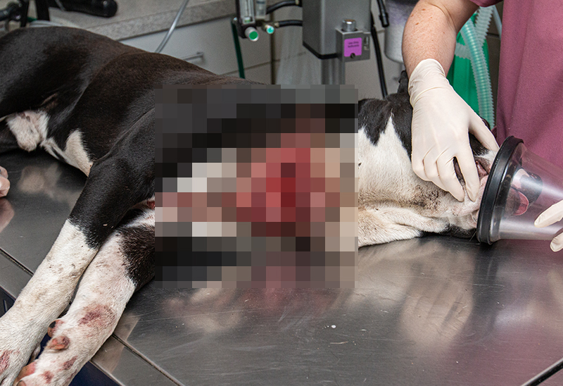 0907_King eappeal_Content_03