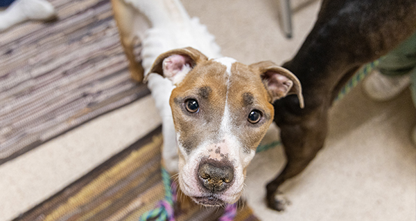 Suffering and hungry but full of love