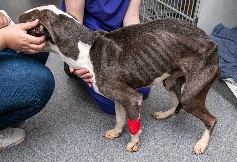 0914_Margot_content1