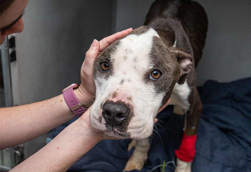 /0914_margot_content2