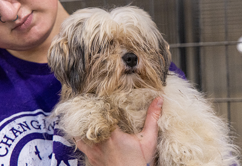 0924_PlymouthCodogs_eappeal_Content02