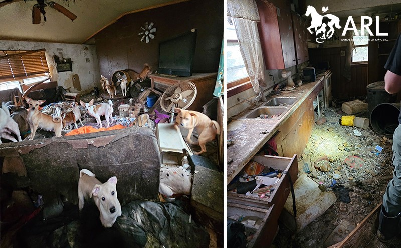 1018_eappealheader_carrollco