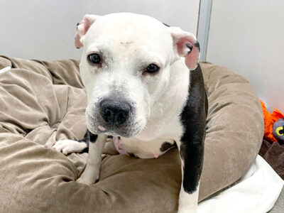 1214_Holly_Content_01