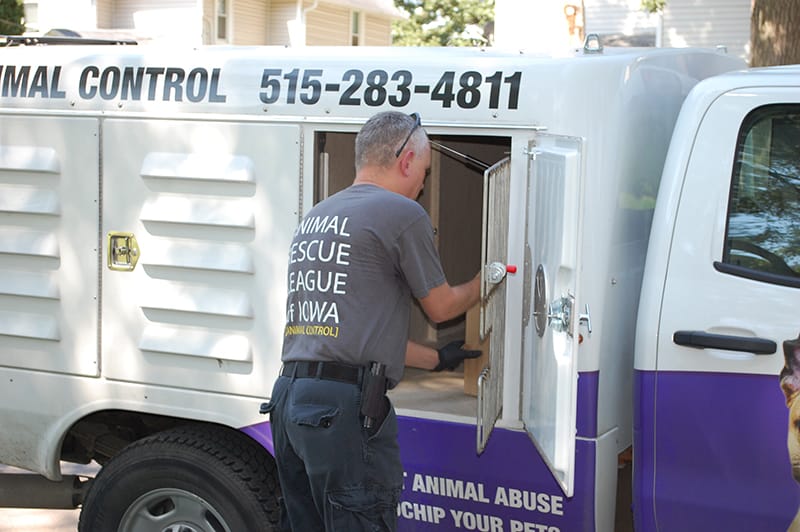 Animal Control Seizing Chickens