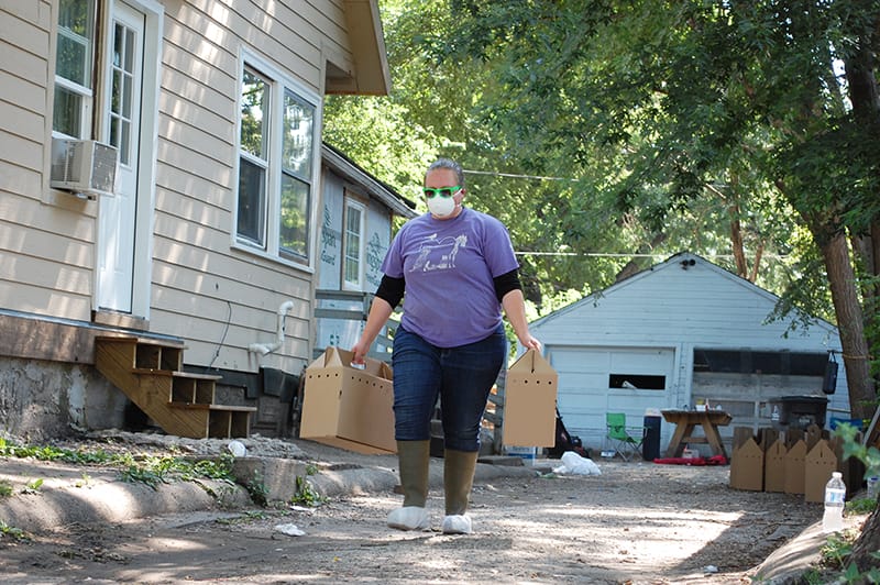 The Animal Rescue League of Iowa (ARL) assisted the Des Moines Police (DMPD) to remove 85 chickens and roosters from a property on the East side of Des Moines.