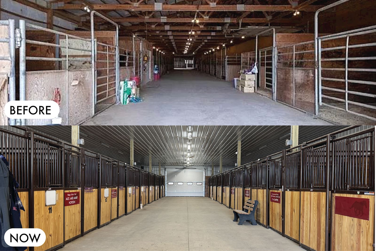 BeforeandAfter_Maifeld-Equine-Wing