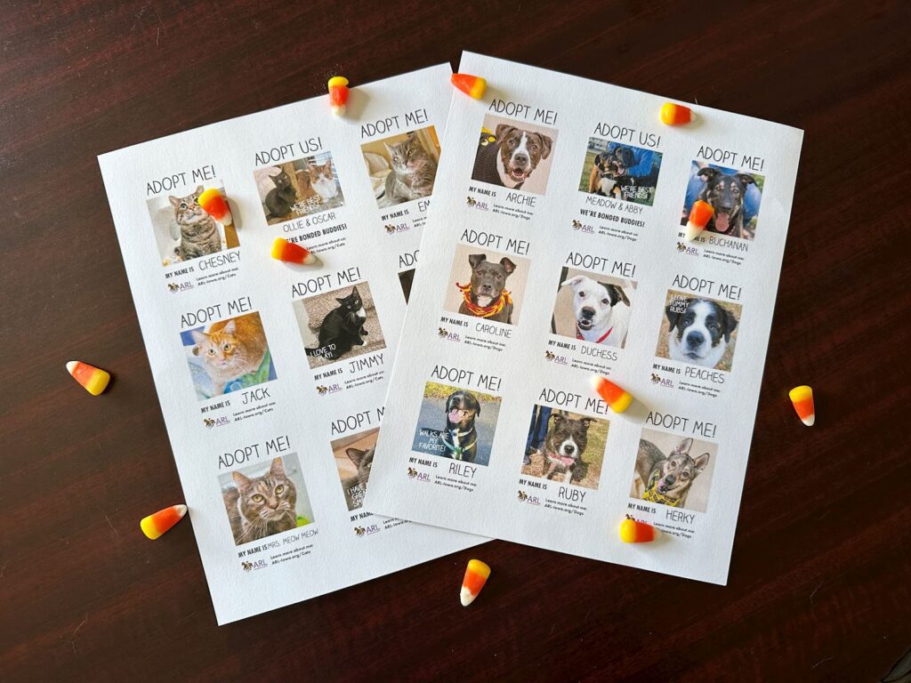 If you're handing out candy to trick-or-treaters, here's a great way to help get the word out about adoptable pets at the ARL!
