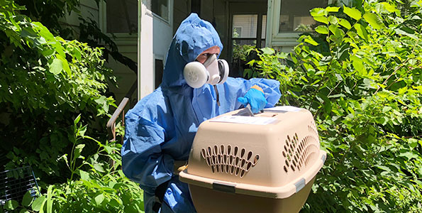 ARL Animal Control Services and the ARL Mobile Rescue Team were on-site at a property on Des Moines' west side July 10, 2019 assisting the Des Moines Police Department to rescue cats from another hoarding case. A total of 42 cats were removed from the home.