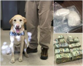 K-9-Lionel K-9-Lionel