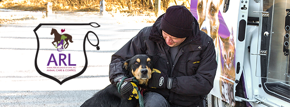 The Des Moines City Council voted unanimously to approve a 10-year contract for Animal Control services with the Animal Rescue League of Iowa (ARL). The ARL has been the city's preferred vendor for animal control services since 2005 and this contract will now extend this relationship into at least 2029.