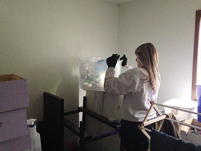 The ARL Mobile Rescue Team was called to assist Polk County officials to help rescue and remove animals from an apartment fire in Pleasant Hill. The ARL team rescued 4 hedgehogs, 2 aquariums of fish, 2 dogs, and 2 cats.