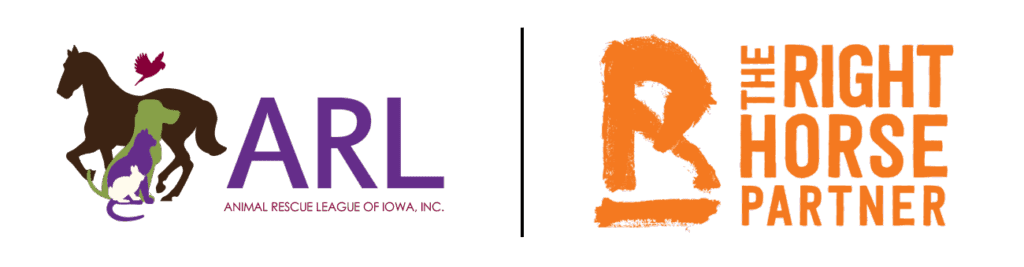 Each year, hundreds of thousands of horses are transitioned from career or ownership. A growing number of these horses end up at risk of inhumane treatment.